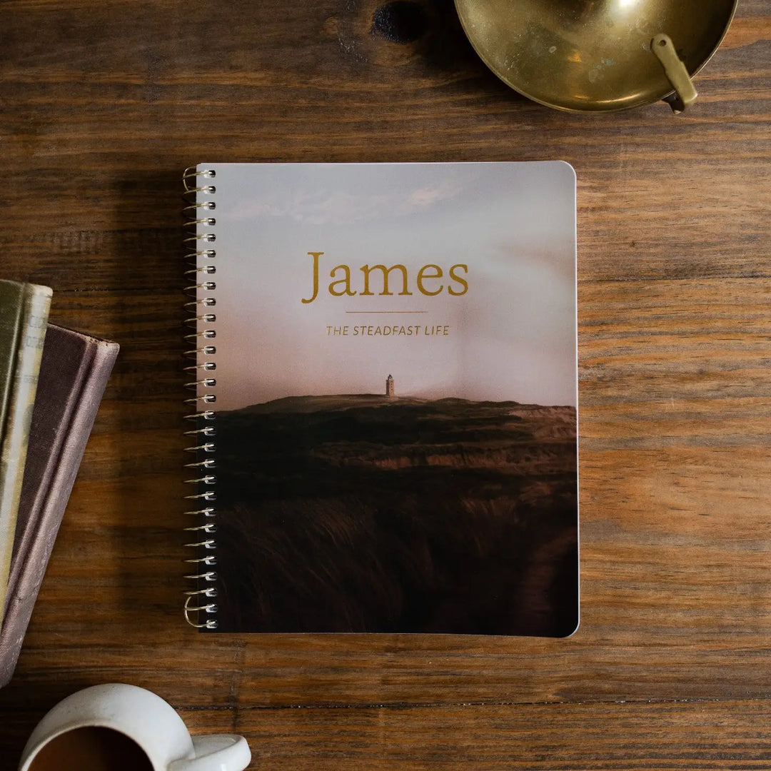 The Daily Grace Co Books of the Bible Studies