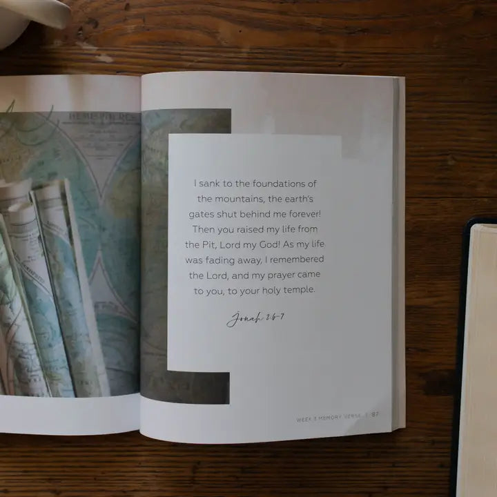 The Daily Grace Co Books of the Bible Studies