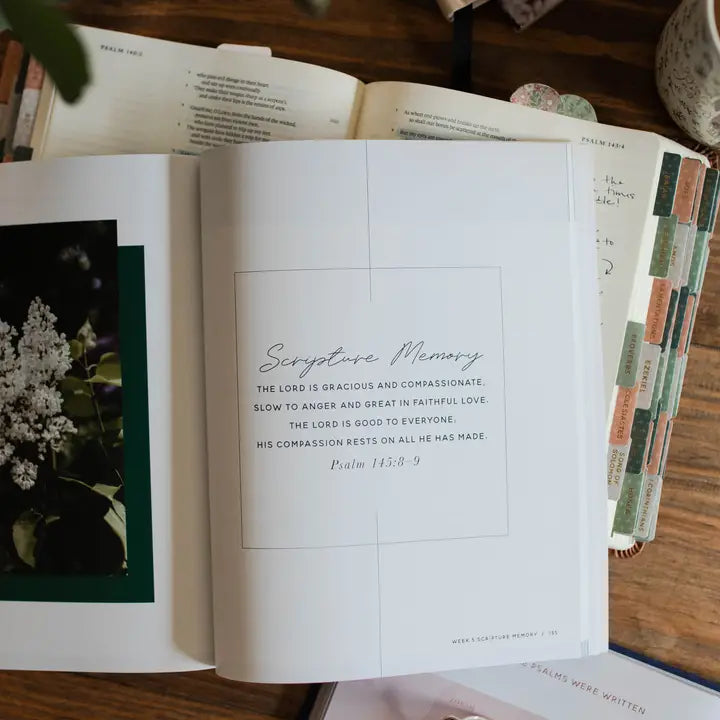 The Daily Grace Co Books of the Bible Studies