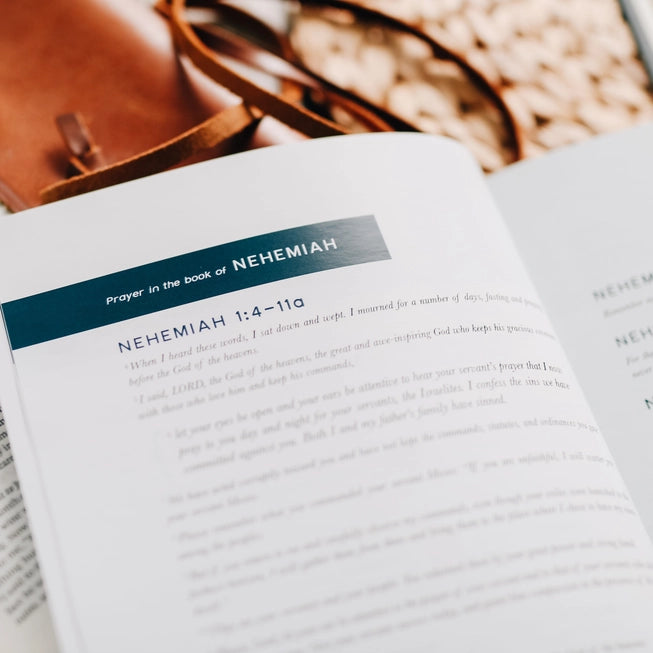 The Daily Grace Co Books of the Bible Studies