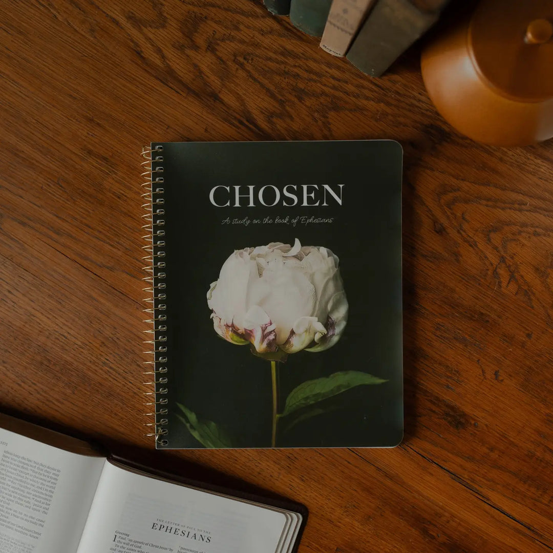 The Daily Grace Co Books of the Bible Studies
