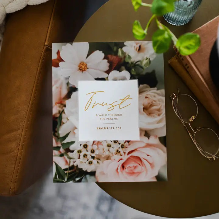 The Daily Grace Co Books of the Bible Studies