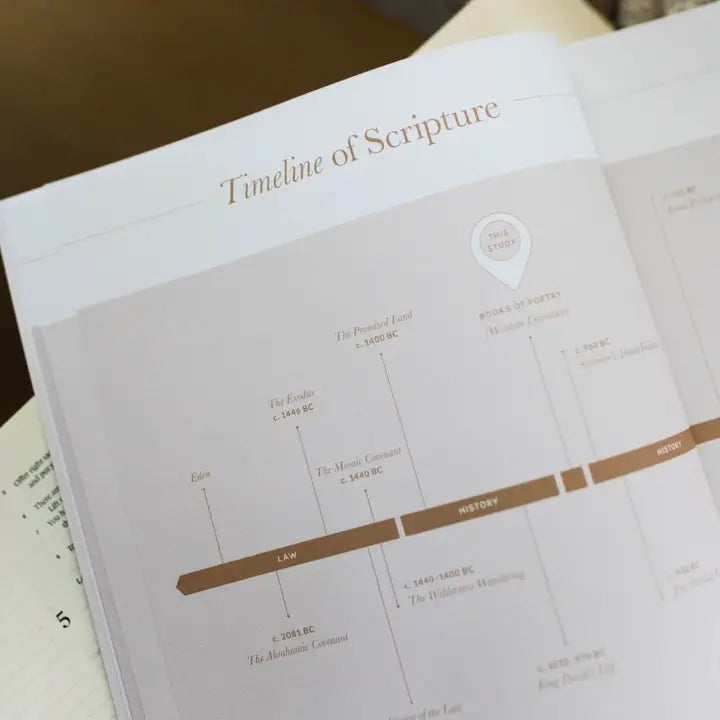 The Daily Grace Co Books of the Bible Studies