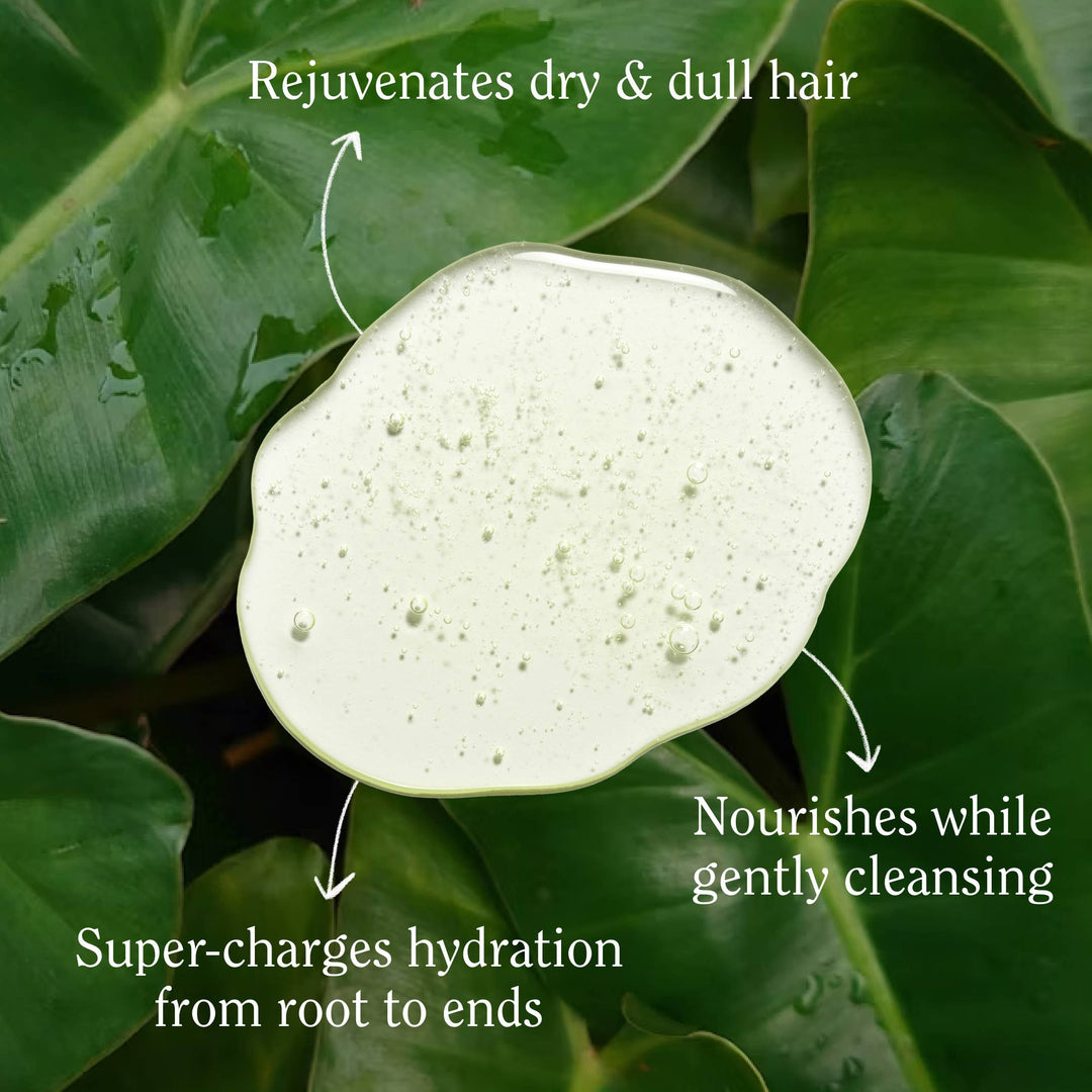 Super Moisture Shampoo