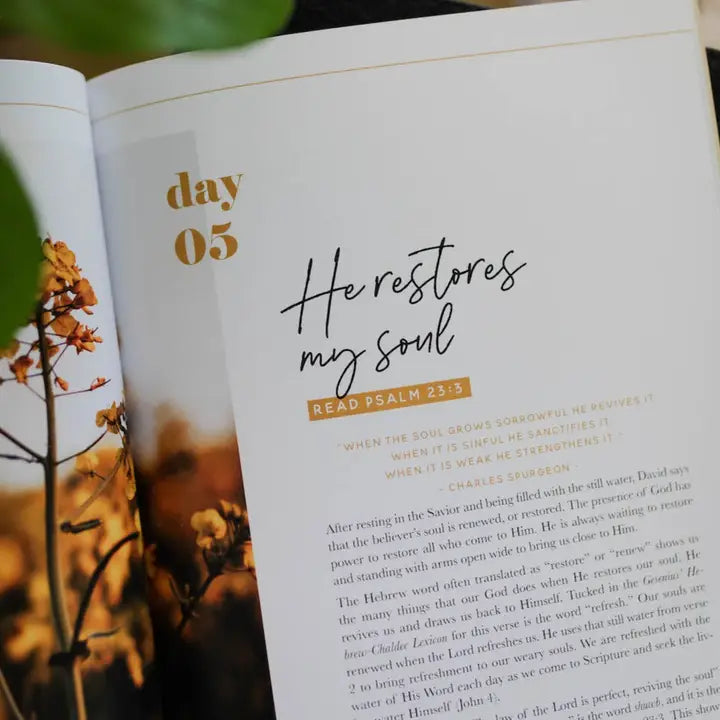 The Daily Grace Co Books of the Bible Studies
