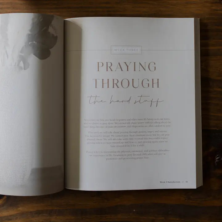 The Daily Grace Co Foundational Studies