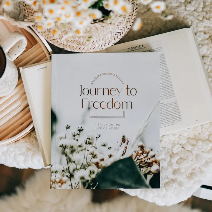 The Daily Grace Co Foundational Studies