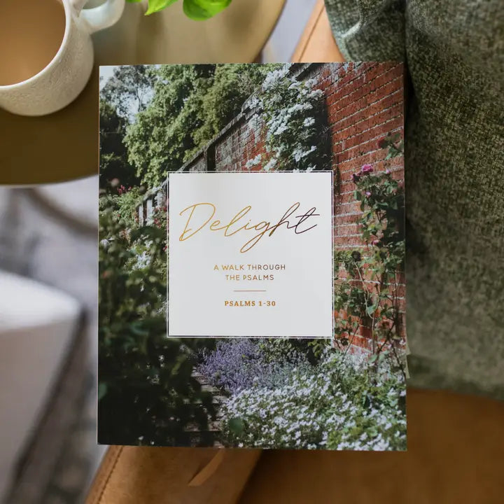 The Daily Grace Co Books of the Bible Studies