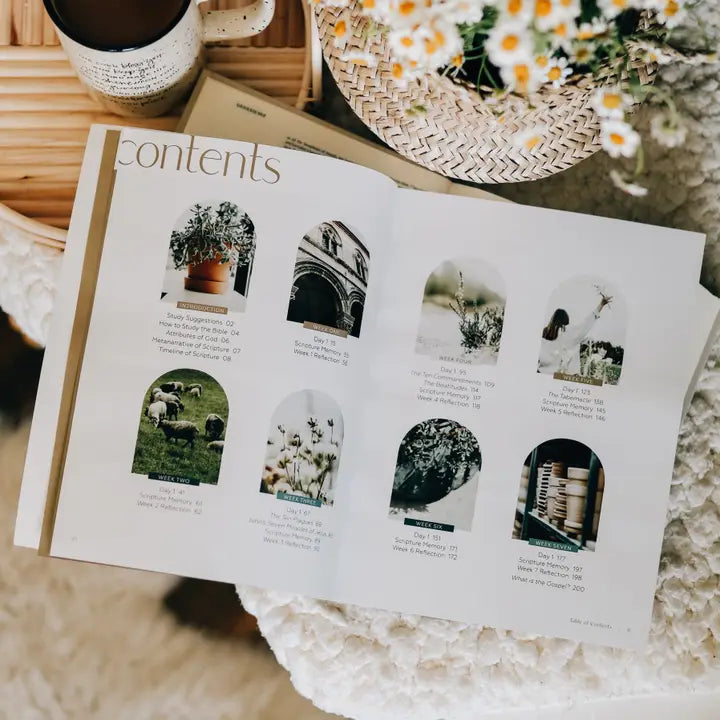 The Daily Grace Co Foundational Studies