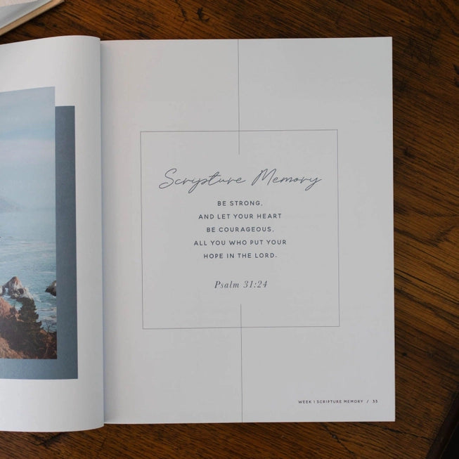 The Daily Grace Co Books of the Bible Studies