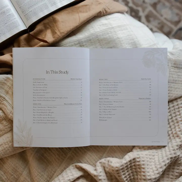 The Daily Grace Co Books of the Bible Studies