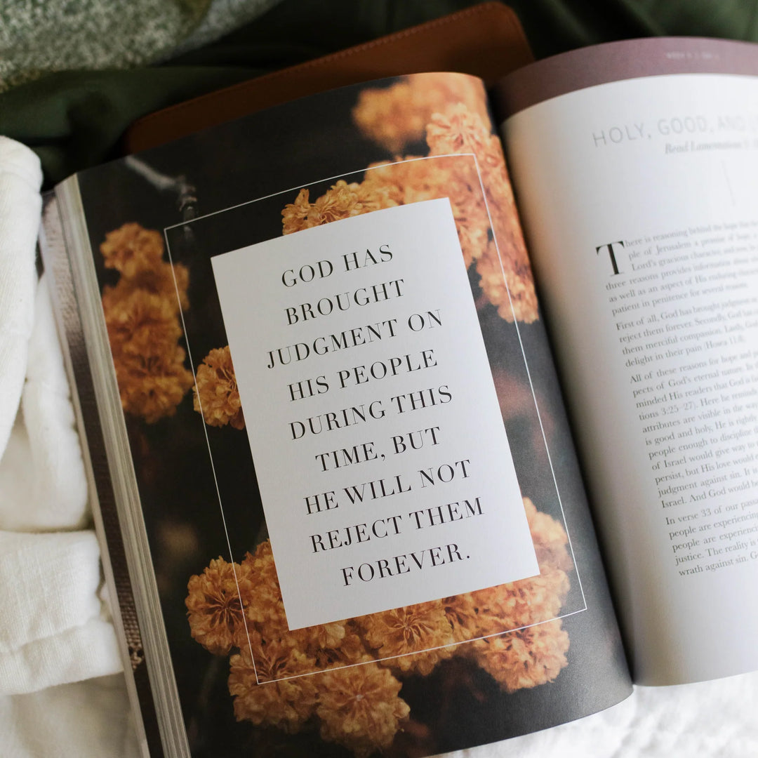 The Daily Grace Co Books of the Bible Studies