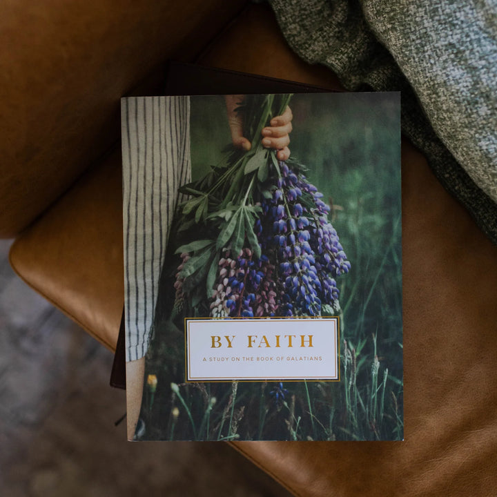 The Daily Grace Co Books of the Bible Studies
