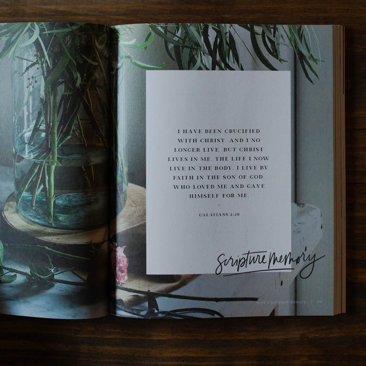 The Daily Grace Co Books of the Bible Studies