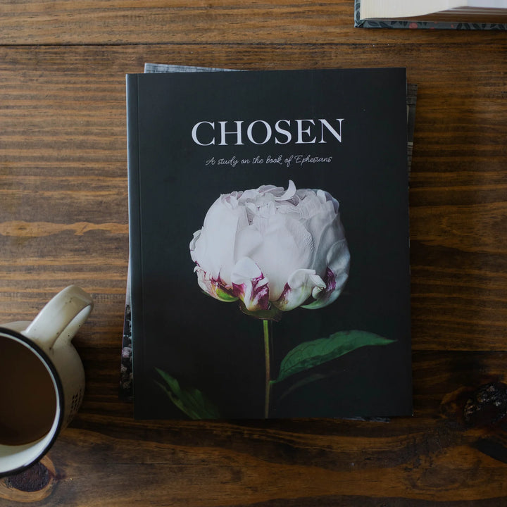 The Daily Grace Co Books of the Bible Studies