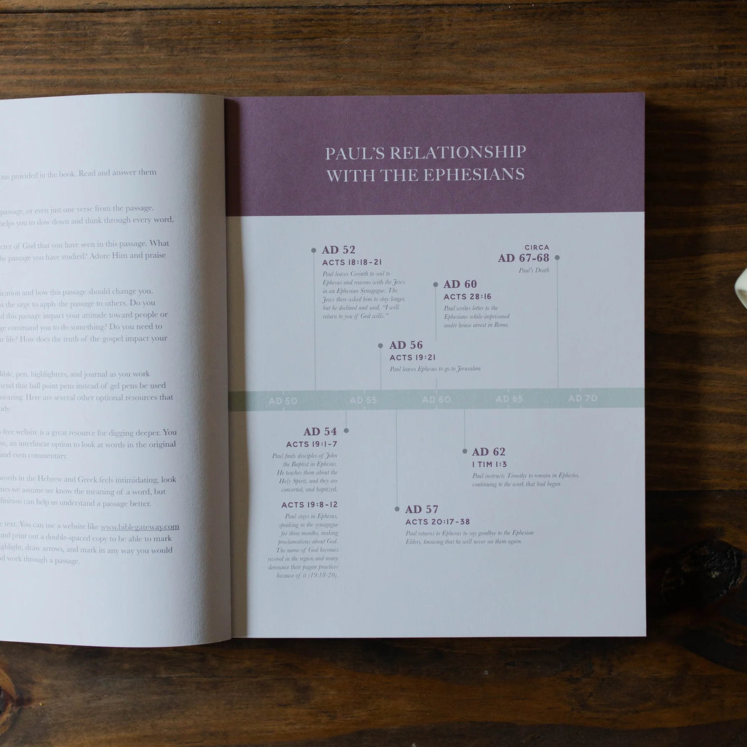 The Daily Grace Co Books of the Bible Studies