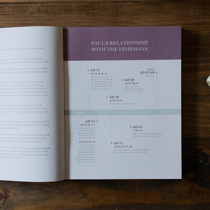 The Daily Grace Co Books of the Bible Studies