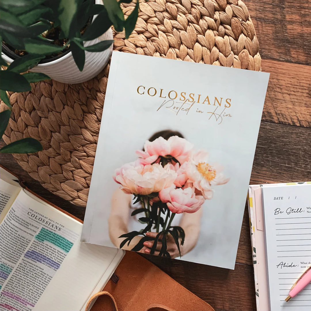 The Daily Grace Co Books of the Bible Studies