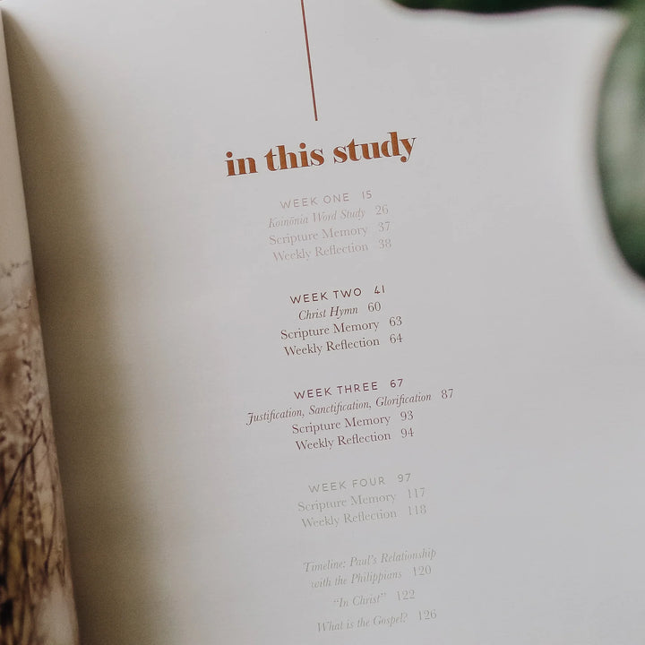The Daily Grace Co Books of the Bible Studies