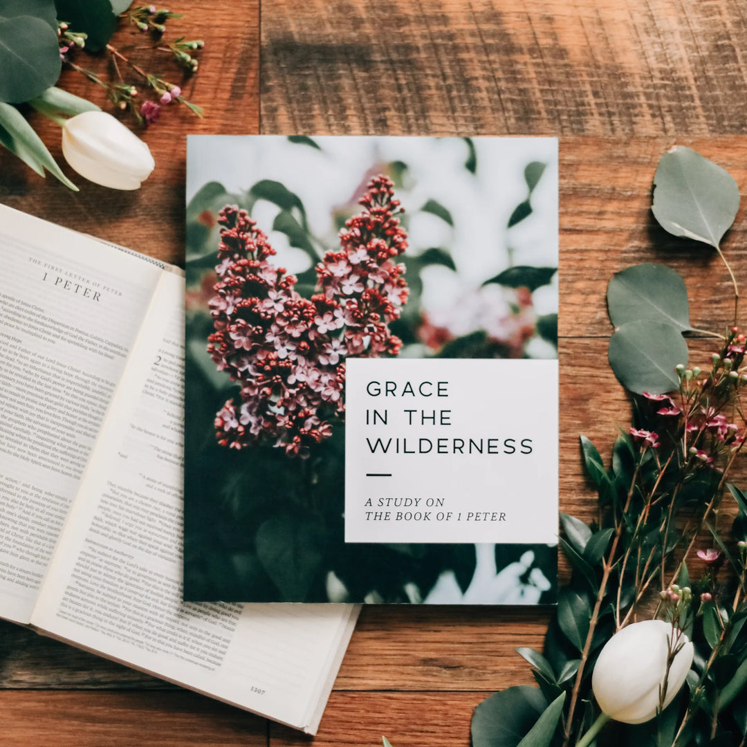 The Daily Grace Co Books of the Bible Studies