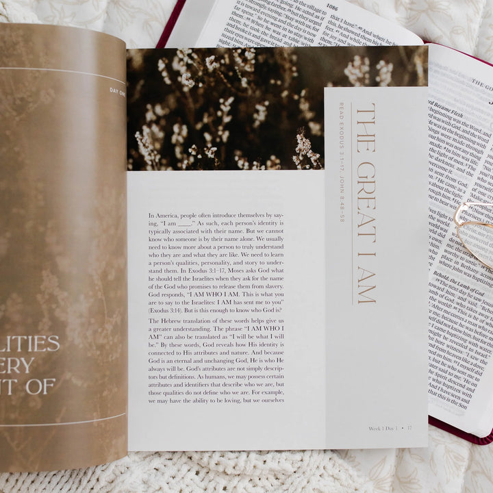 The Daily Grace Co Foundational Studies