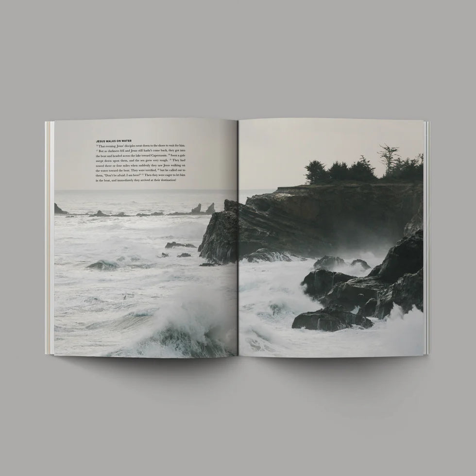 Alabaster Books Of The Bible