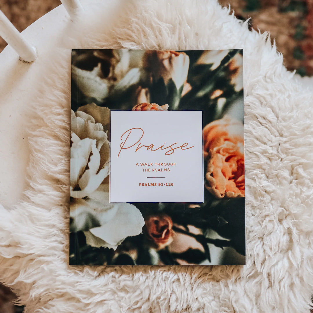 The Daily Grace Co Books of the Bible Studies