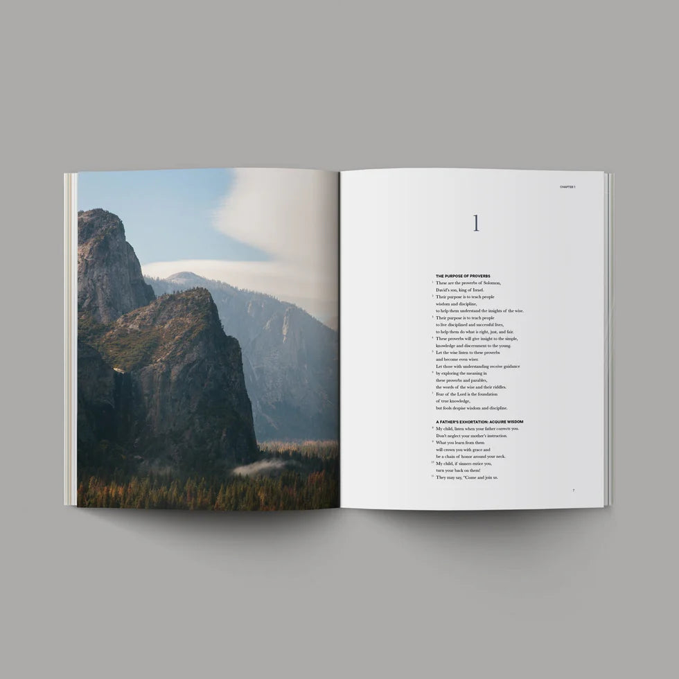 Alabaster Books Of The Bible