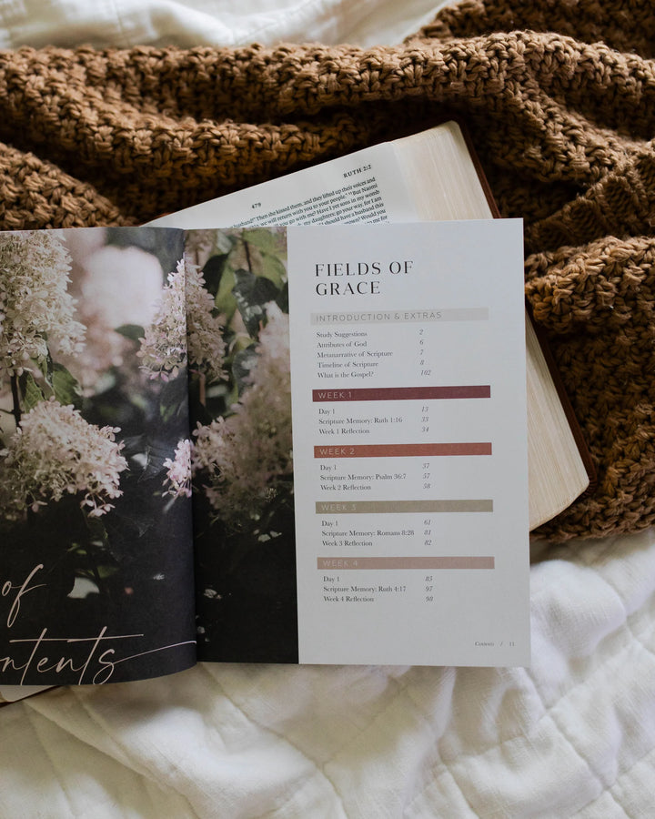 The Daily Grace Co Books of the Bible Studies