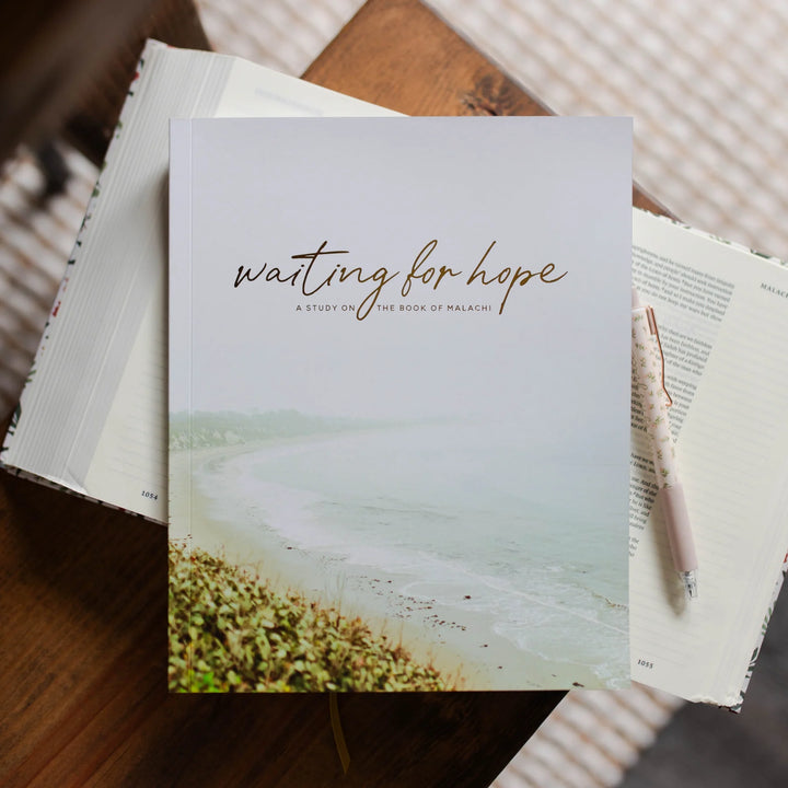 The Daily Grace Co Books of the Bible Studies