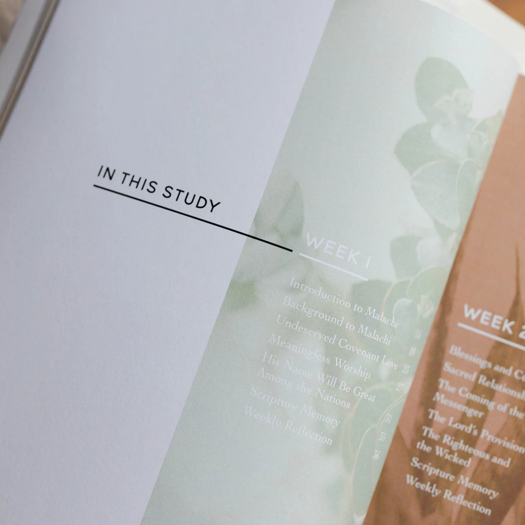 The Daily Grace Co Books of the Bible Studies
