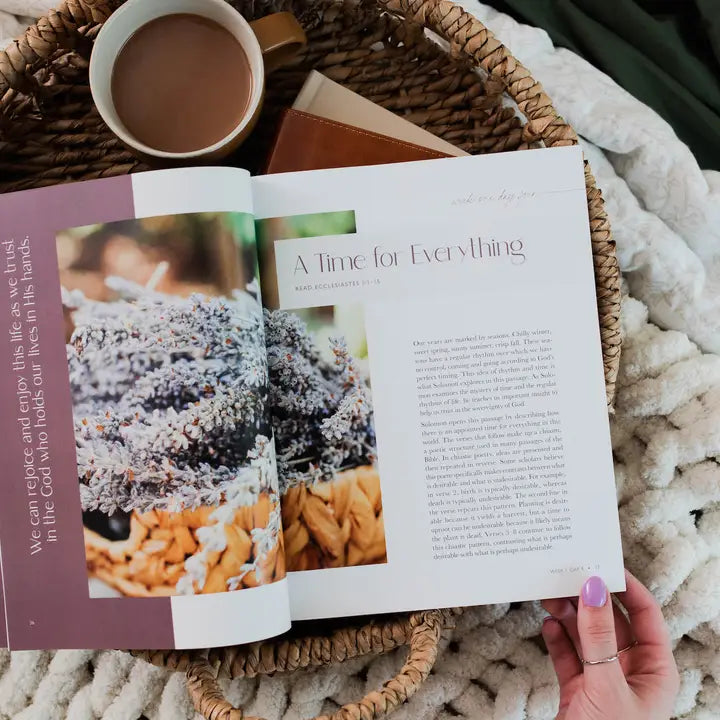 The Daily Grace Co Books of the Bible Studies