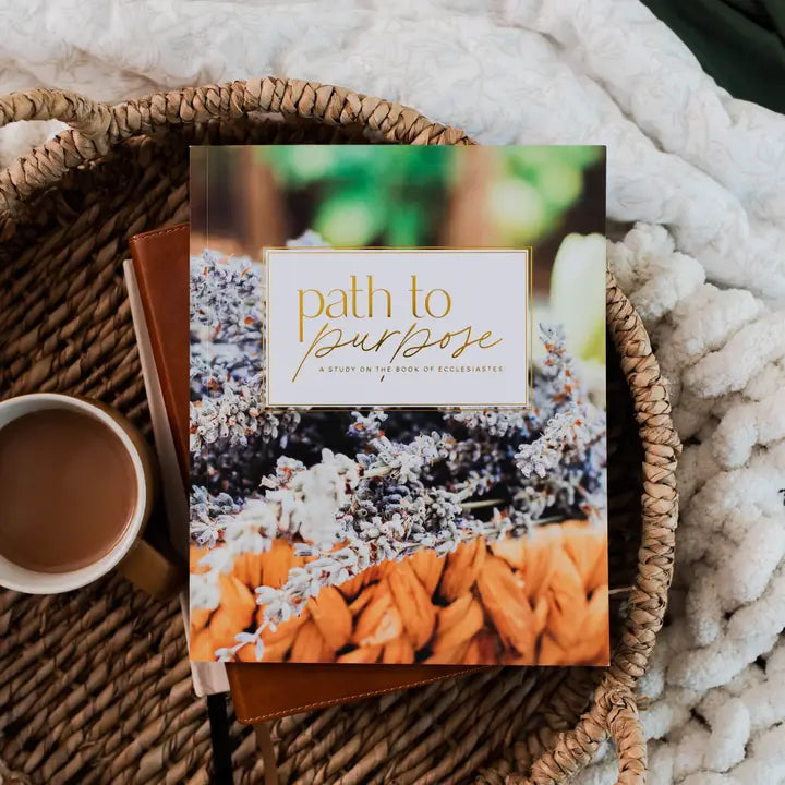 The Daily Grace Co Books of the Bible Studies