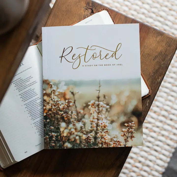 The Daily Grace Co Books of the Bible Studies