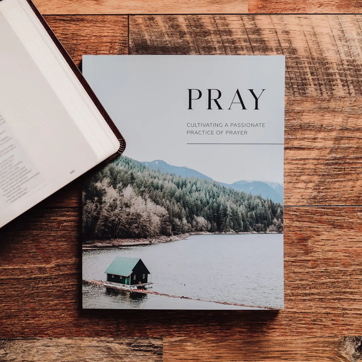 The Daily Grace Co Foundational Studies