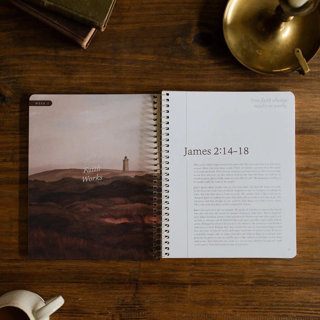 The Daily Grace Co Books of the Bible Studies