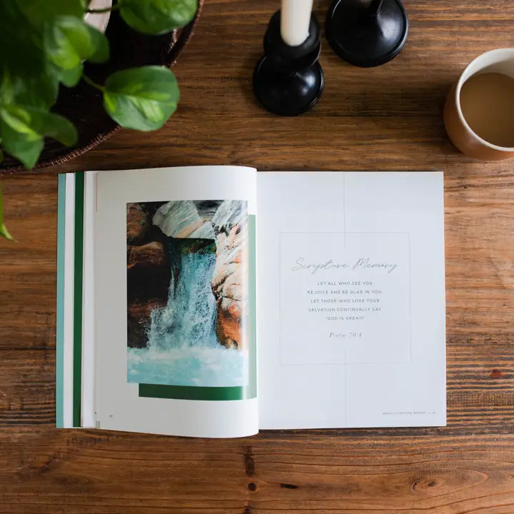 The Daily Grace Co Books of the Bible Studies