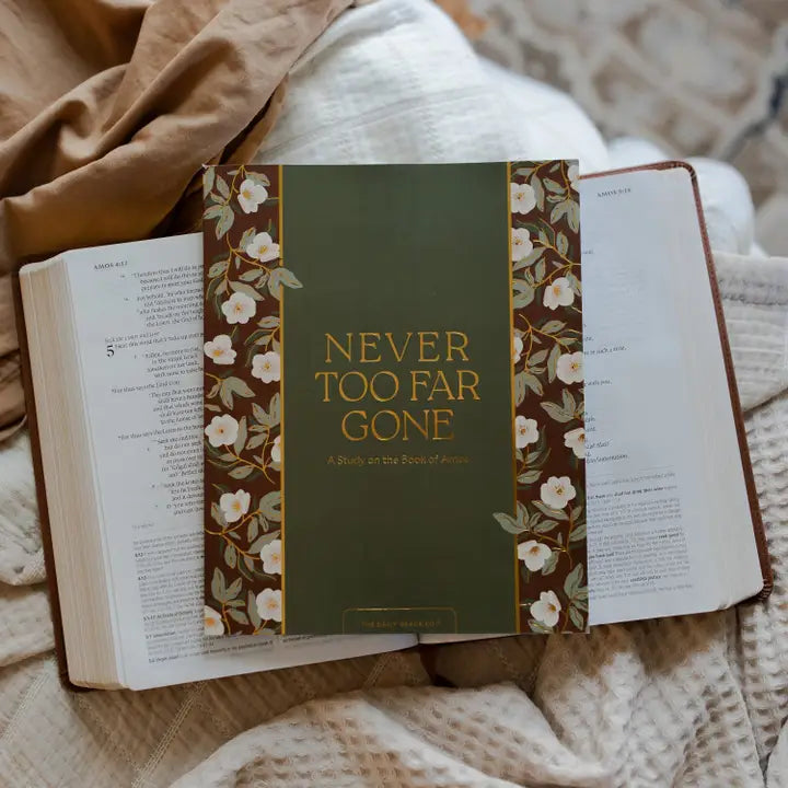 The Daily Grace Co Books of the Bible Studies